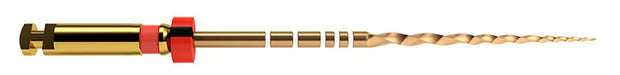 ProTaper GOLD: F2 25mm (6)