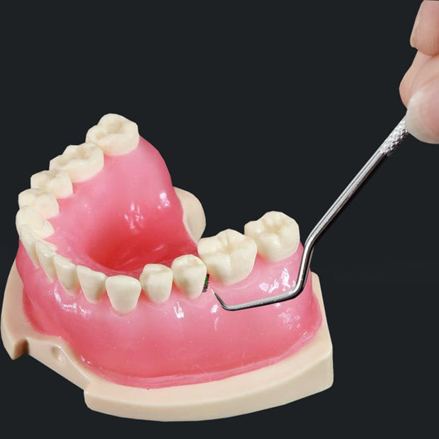 Portable Dental Tools