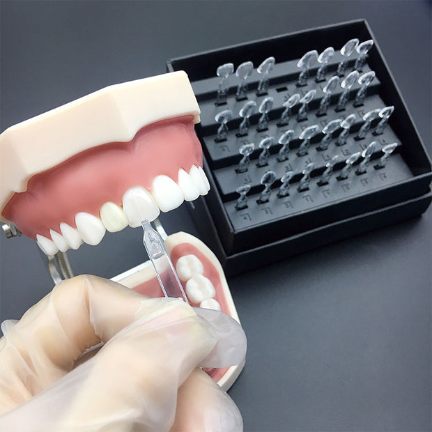 Dental Veneers Composite - 6