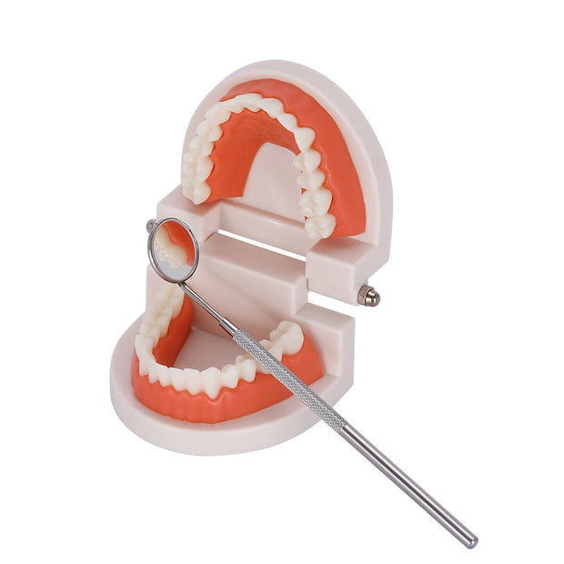 Dental Cleaning Tool Kit