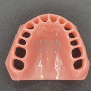 Teeth Teaching Accessories soft gums