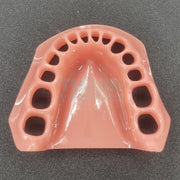 Teeth Teaching Accessories soft gums