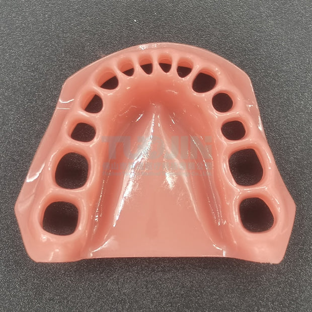 Teeth Teaching Accessories soft gums