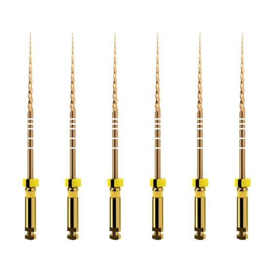 ProTaper GOLD: F1 25mm (6)