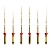 ProTaper GOLD: F2 25mm (6)