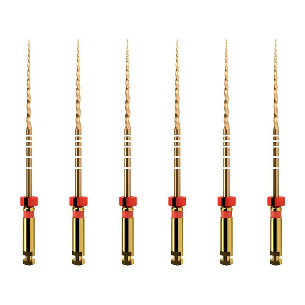 ProTaper GOLD: F2 25mm (6)