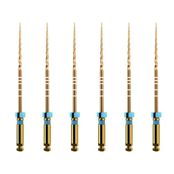 ProTaper GOLD: F3 25mm (6)