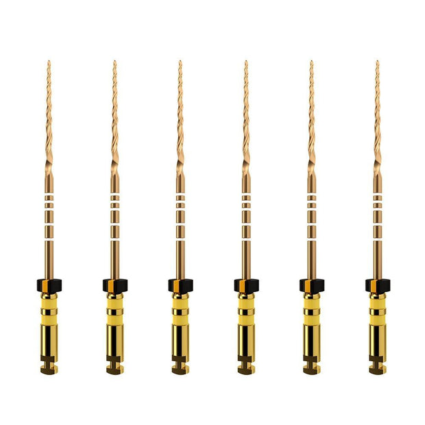 ProTaper GOLD: F5 25mm (6)