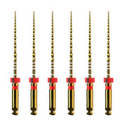 ProTaper Ultimate: 31mm - F2 (6)