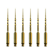ProTaper Ultimate: 19mm - SX (6)
