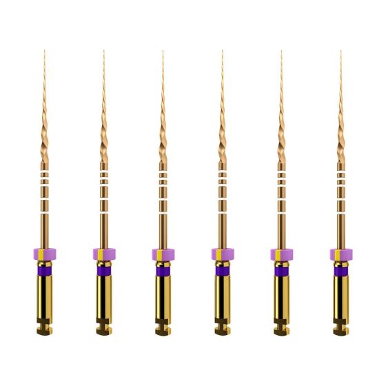 ProTaper GOLD: S1 25mm (6)